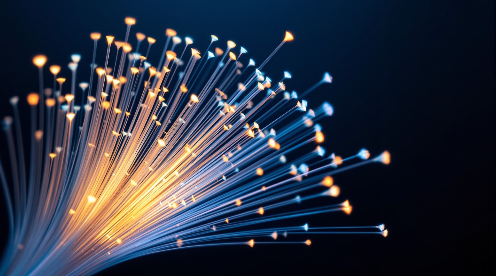 Optical fibres emitting light against a dark background